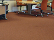 Office and Commercial Carpets